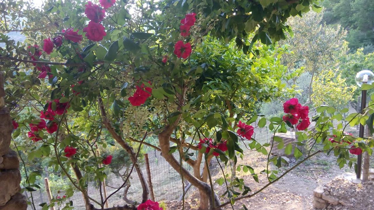 Bed and Breakfast Casale I Cirillo Rutino Esterno foto