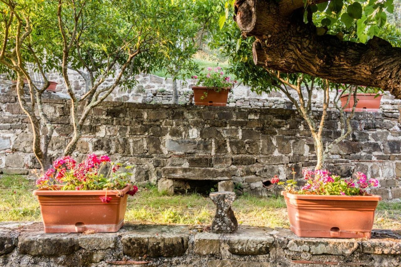 Bed and Breakfast Casale I Cirillo Rutino Esterno foto