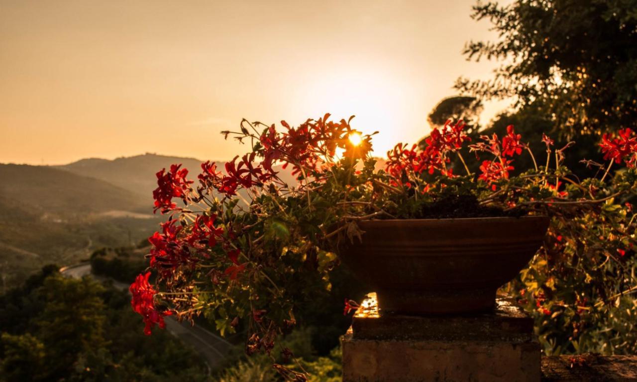 Bed and Breakfast Casale I Cirillo Rutino Esterno foto