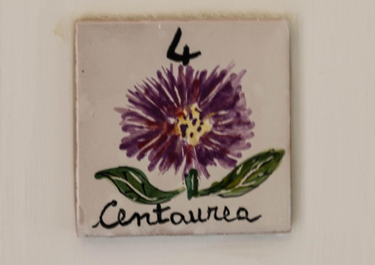Bed and Breakfast Casale I Cirillo Rutino Esterno foto