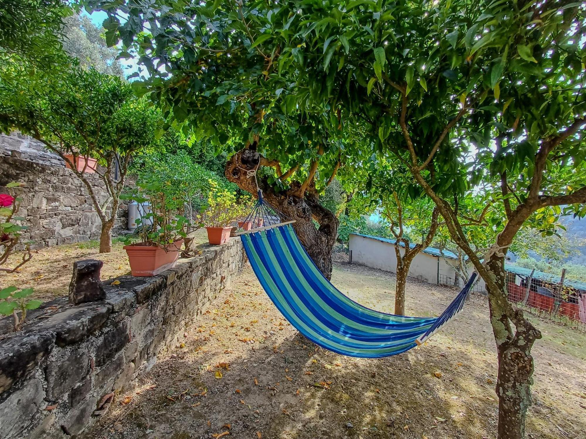 Bed and Breakfast Casale I Cirillo Rutino Esterno foto